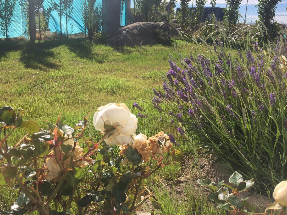 Casa Patagonica Los Frutales El Calafate Eksteriør billede